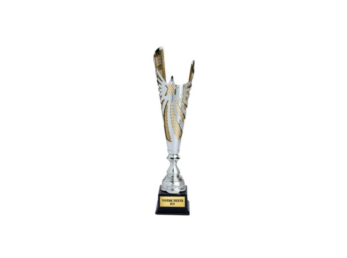 Coupe classique argent/or hauteur 4