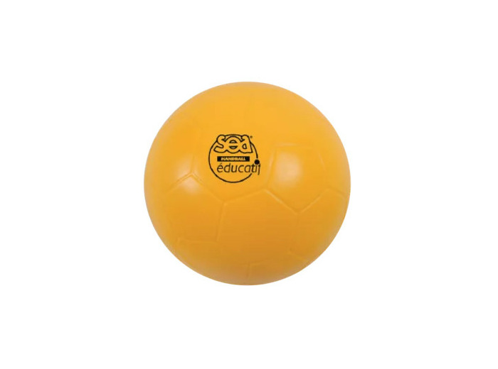 Ballon de hand educatif sea