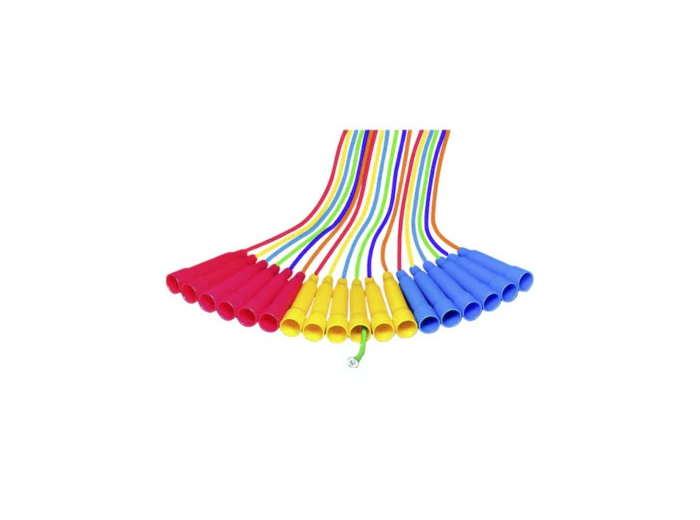 Lot de 6 cordes à sauter multicolores270