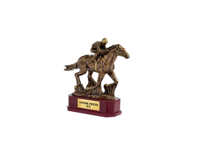 Trophee resine discipline bronze eq