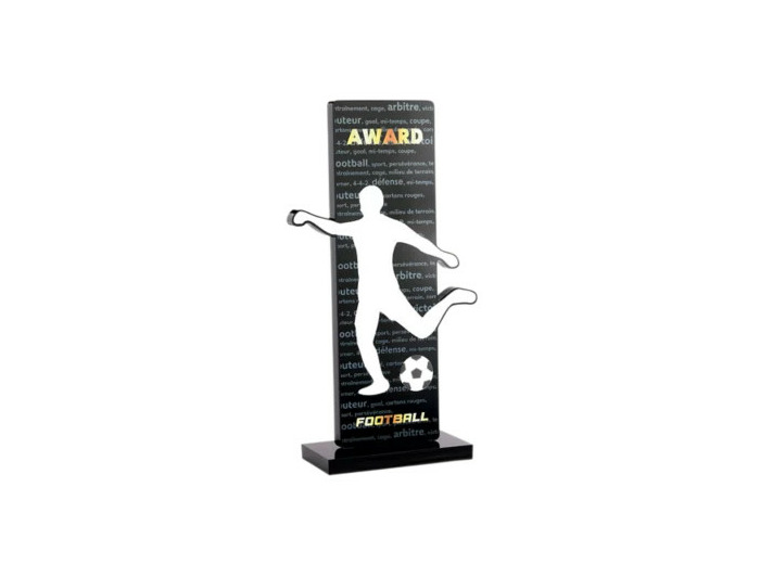 Trophee acrylique personnalisable n
