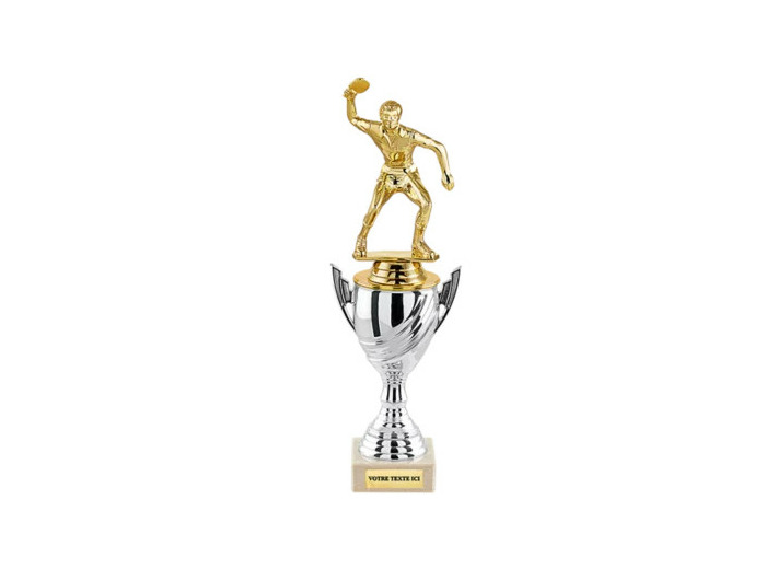 Trophee + sujet 27cm
