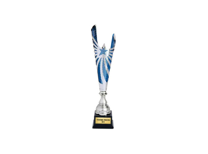 Coupe classique argent/bleu(e) haut