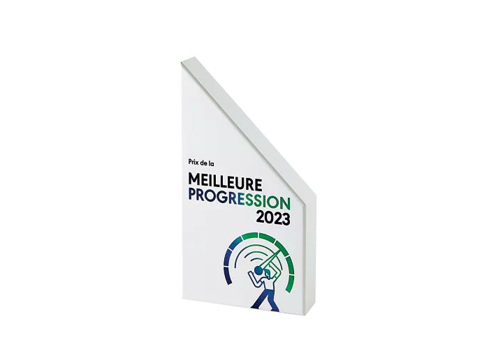 Trophee bois hauteur 185 cm