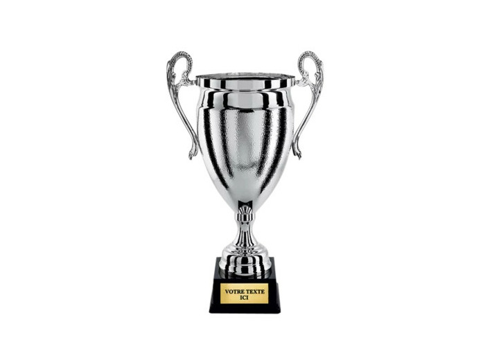 Coupe prest arg h 75 cm d 280 mm