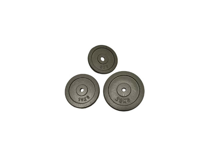 Poids disque en fonte 10 kgs
