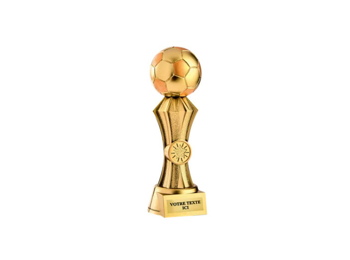 Trophee resine discipline or footba