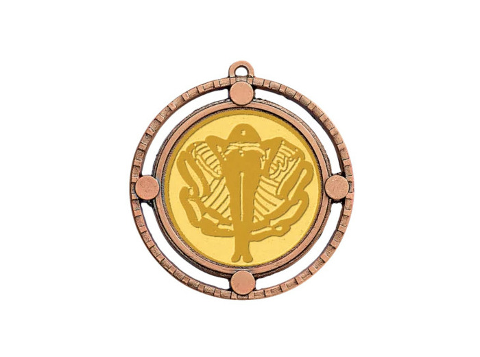Medaille zamak diam70mm bronze