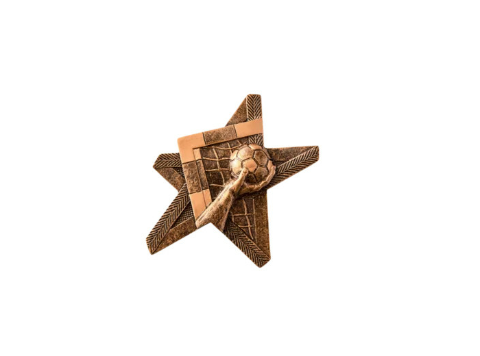 Applique resine etoile handball hau