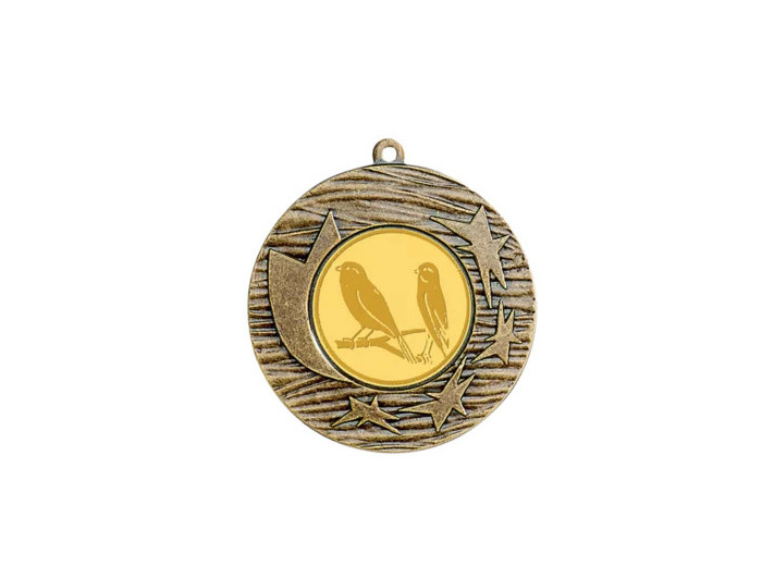 Medaille fer diam45mm bronze