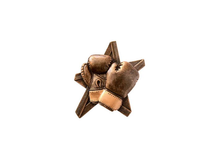 Applique resine etoile boxe hauteur