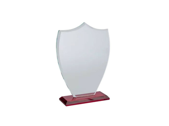 Trophee verre et bois personnalisab