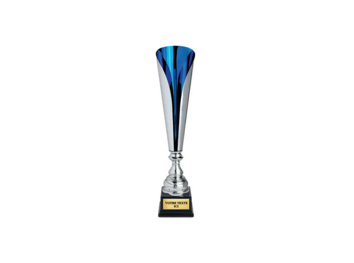 Coupe classique argent/bleu(e) haut