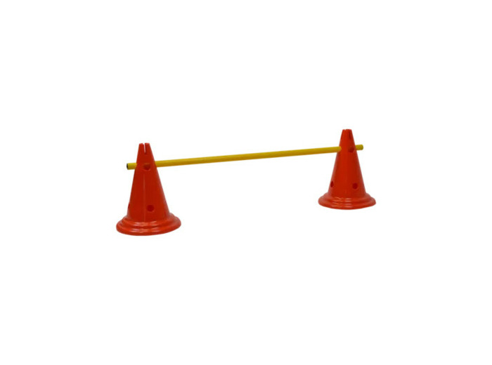 Multisauts hauteur 30cm