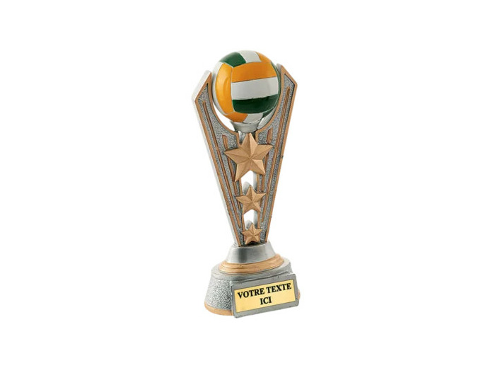 Trophee resine volley h. 24 cm