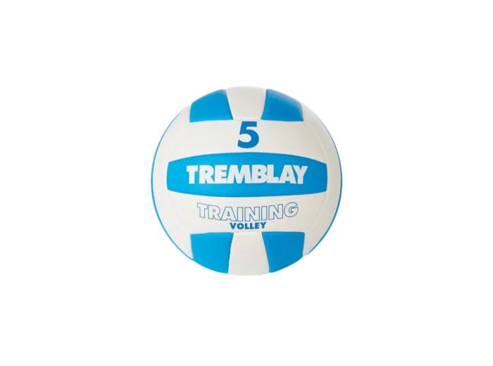 Ballon volley training volley taille 5