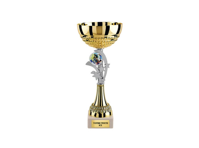 Coupe eco or/arg h 28 cm d 120 mm