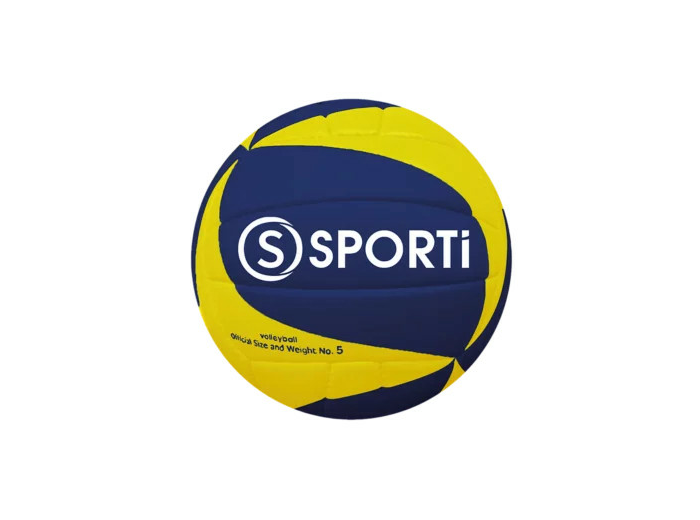 Ballon de volley-ball entraînement