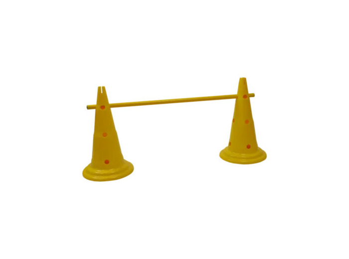 Multisauts hauteur 50cm