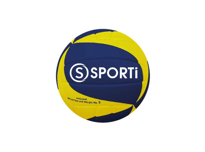 Ballon de volley-ball entraînement