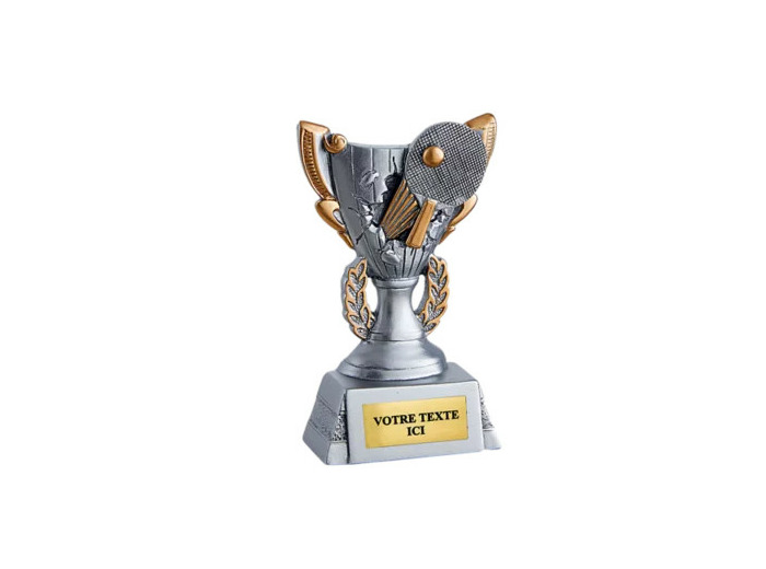 Trophee trophee resine discip tdt h 11 cm