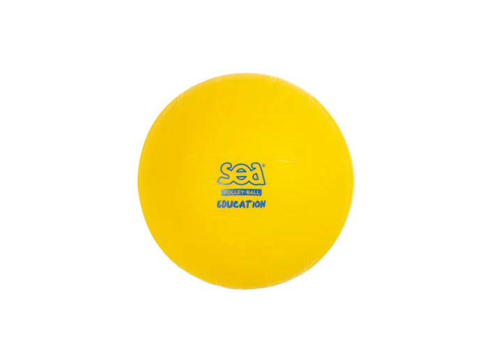 Ballon de volley initiation sea