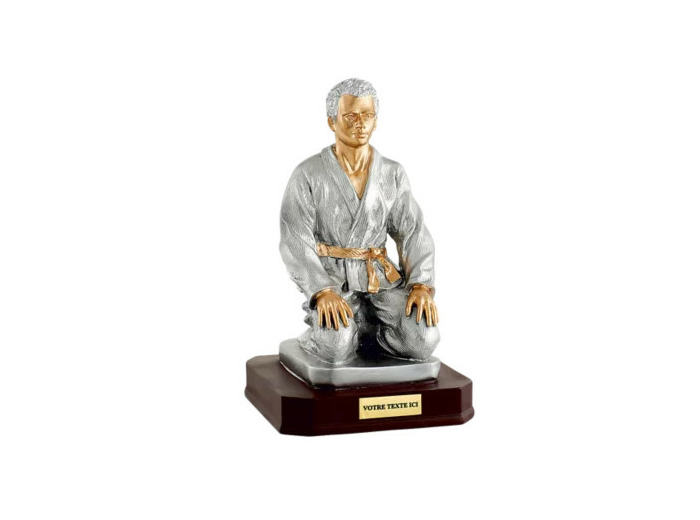 Trophee resine judo homme h.28 cm