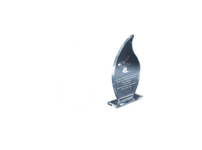 Trophee plexi epaiss 10mm h. 23 cm