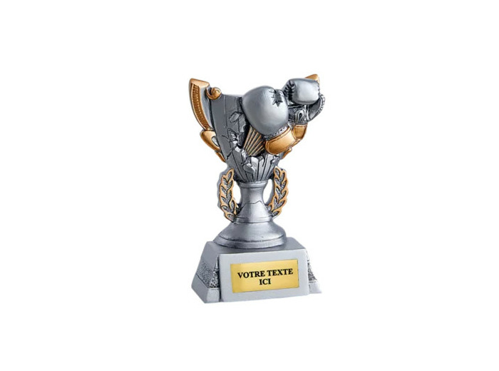 Trophee resine discip sp de combat h11cm