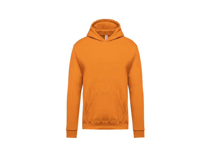 Sweatshirt capuche junior
