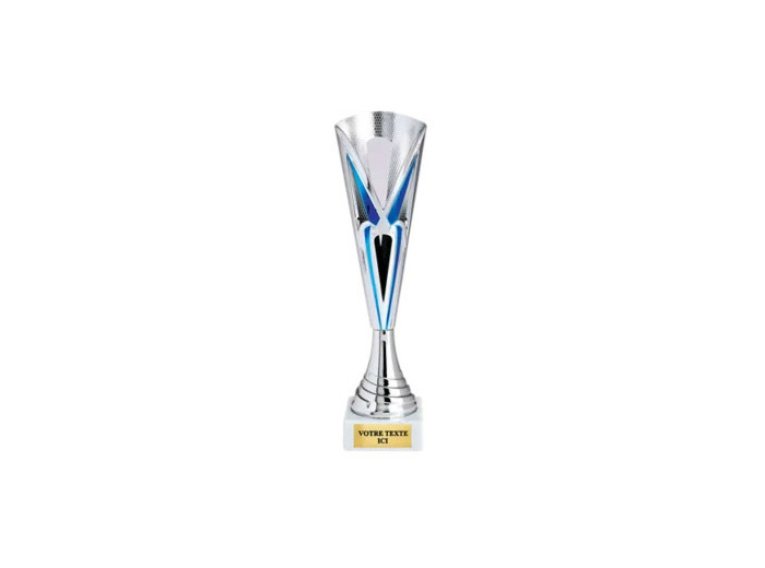 Coupe economique argent/bleu(e) hau
