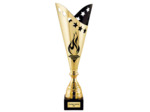Coupe discipline flambeau or/noir(e