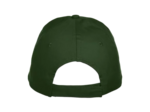 Texas bull cap