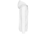 Sweatshirt capuche contrastée homme