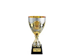 Coupe class or/arg m h 38cm d 180mm