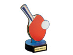Trophee bois tdt h 20 cm
