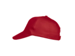 Texas bull cap