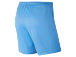 WOMEN'S NIKE DRI-FIT PARK III SHORT