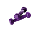 Haltere - 1.5 kg x 2
