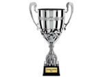 Coupe prestige arg h 59 cm d 220 mm