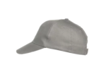 Texas bull cap
