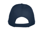 Texas bull cap