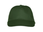 Texas bull cap