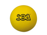 Ballon multisport