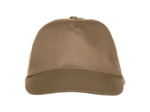Texas bull cap