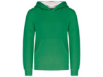 Sweatshirt capuche contrastée junior