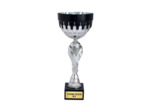 Coupe classique argent/noir(e) haut
