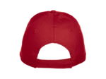 Texas bull cap