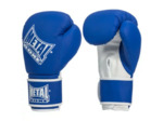 Gants multiboxe entraînement