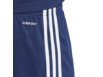 SHORT SQUADRA 25